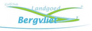 bergvliet logo