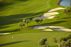 daurada golf